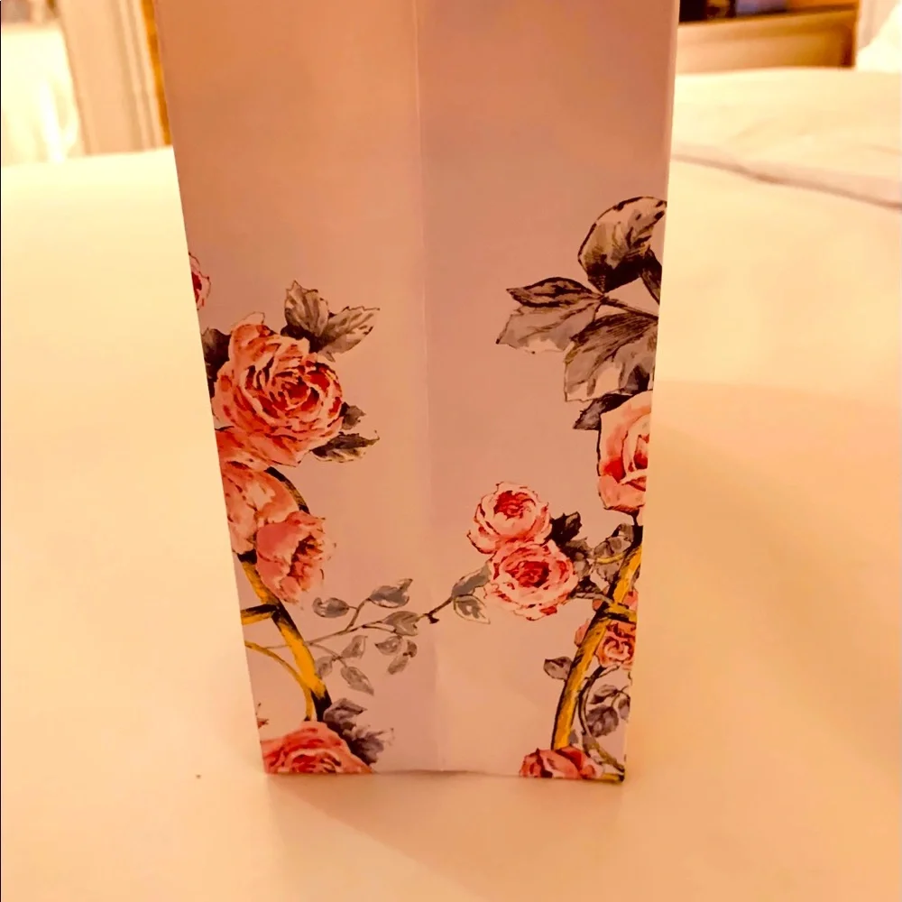 Brand new beautiful authentic Dior shopping bag